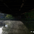2019-10-22-104brumesZ7