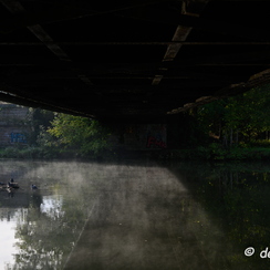 2019-10-22-104brumesZ7