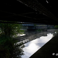 2019-10-22-107brumesZ7
