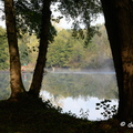 2019-10-22-116brumesZ7