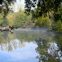 2019-10-22-118brumesZ7