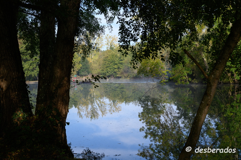 2019-10-22-119brumesZ7