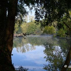 2019-10-22-119brumesZ7