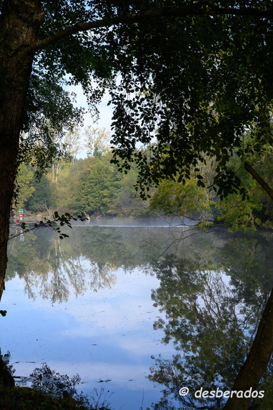 2019-10-22-121brumesZ7