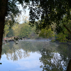 2019-10-22-121brumesZ7