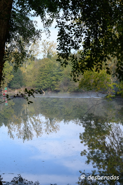 2019-10-22-123brumesZ7