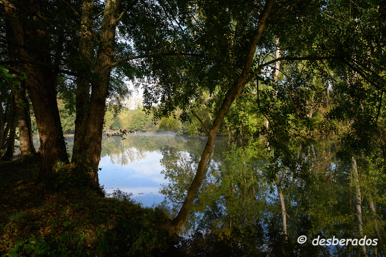 2019-10-22-125brumesZ7