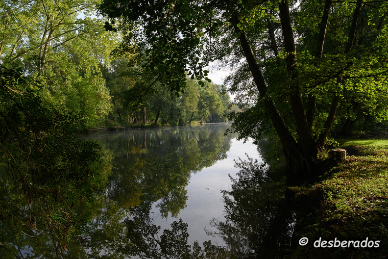 2019-10-22-126brumesZ7