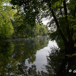 2019-10-22-126brumesZ7