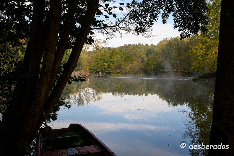 2019-10-22-128brumesZ7