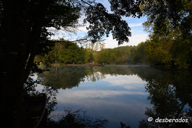 2019-10-22-132brumesZ7
