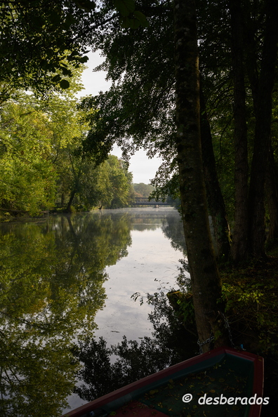 2019-10-22-135brumesZ7