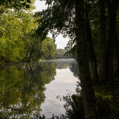 2019-10-22-135brumesZ7