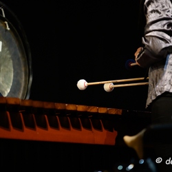 Yi-Ping Yang