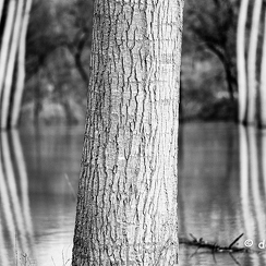 2021-02-08-254crueZ7-Modifier