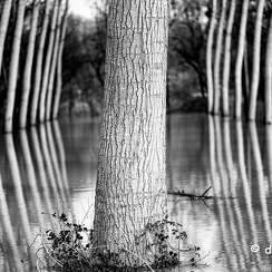 2021-02-08-253crueZ7-Modifier