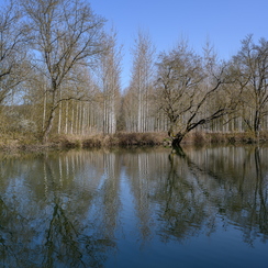 2021-03-31-110veigneZ7