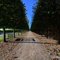 2021-10-14-126villandryZ7