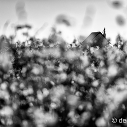 vouvray