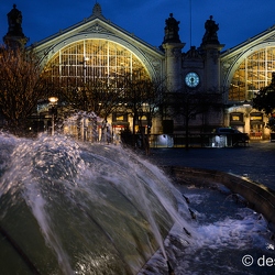 tours by night 2021 Z9