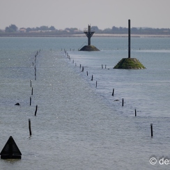 2022-05-06-2102noirmoutierZ9