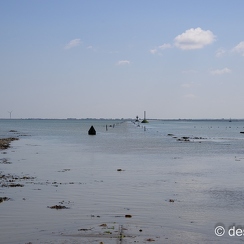 2022-05-06-2111noirmoutierZ9