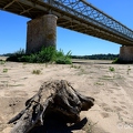 2022-08-08-164candesZ9