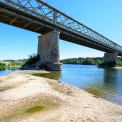 2022-08-08-178candesZ9