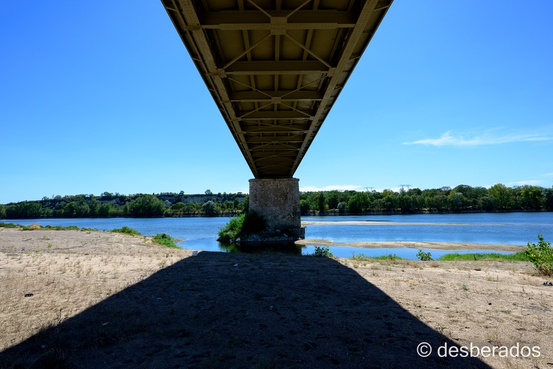 2022-08-08-180candesZ9.jpg