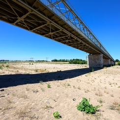 2022-08-08-187candesZ9