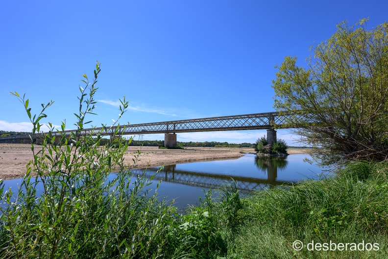 2022-08-08-193candesZ9.jpg