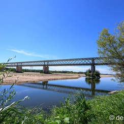 2022-08-08-195candesZ9