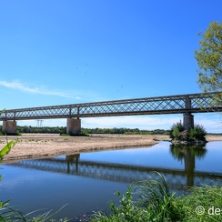 2022-08-08-196candesZ9