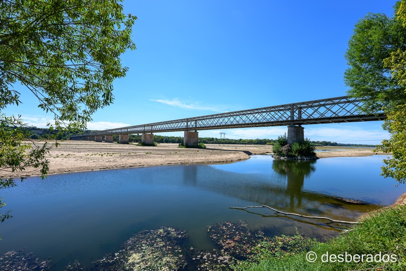 2022-08-08-203candesZ9.jpg