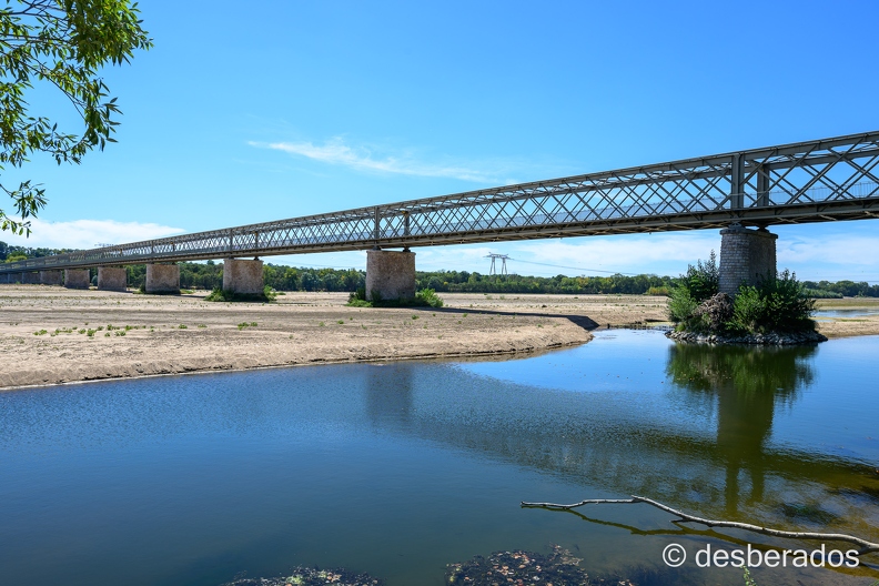 2022-08-08-204candesZ9.jpg