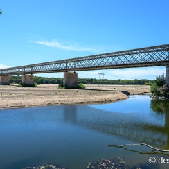 2022-08-08-204candesZ9