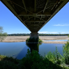 2022-08-08-209candesZ9