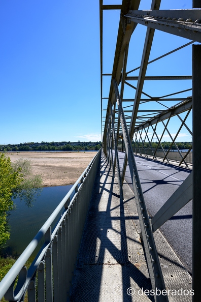 2022-08-08-216candesZ9.jpg