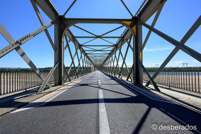 2022-08-08-231candesZ9.jpg