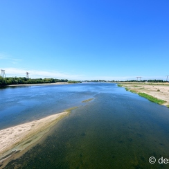 2022-08-08-260candesZ9