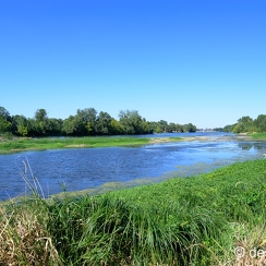 2022-08-08-281candesZ9