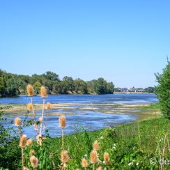 2022-08-08-286candesZ9
