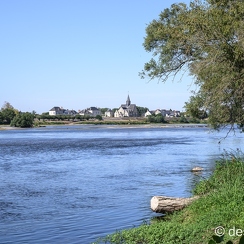 2022-08-08-287candesZ9