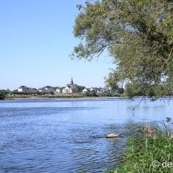 2022-08-08-288candesZ9