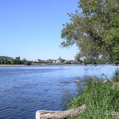 2022-08-08-289candesZ9