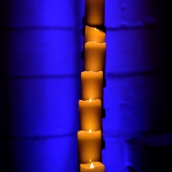 2022-08-10-336fontevraudZ9