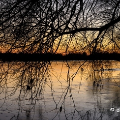 2022-01-11-681loireZ9