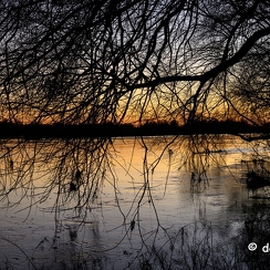 2022-01-11-682loireZ9