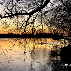 2022-01-11-683loireZ9