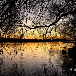 2022-01-11-685loireZ9